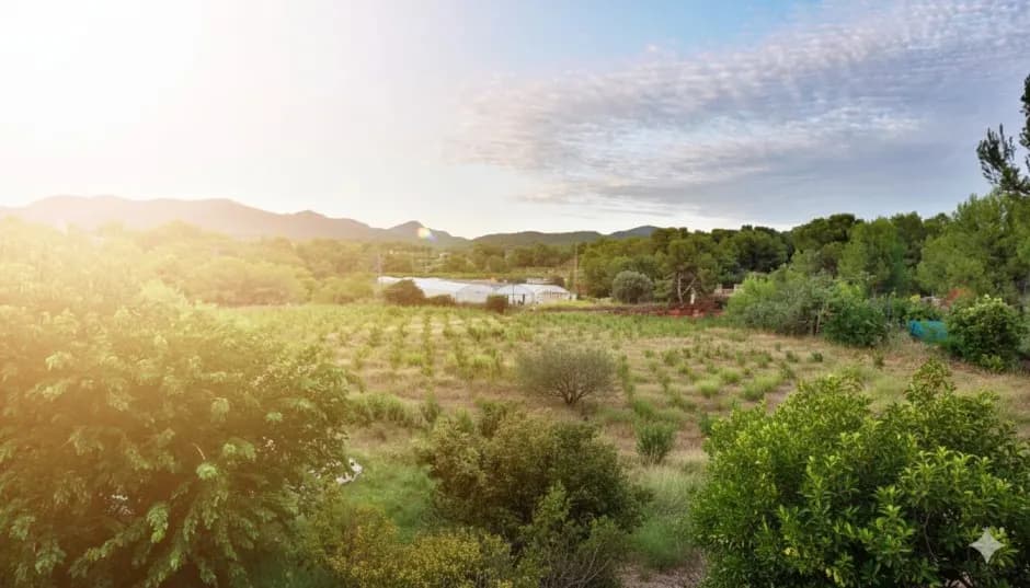 Organic fields and orchards at the EkkoFood finca in Bétera, Valencia