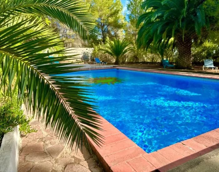 The pool among palm trees at the EkkoRelax retreat venue